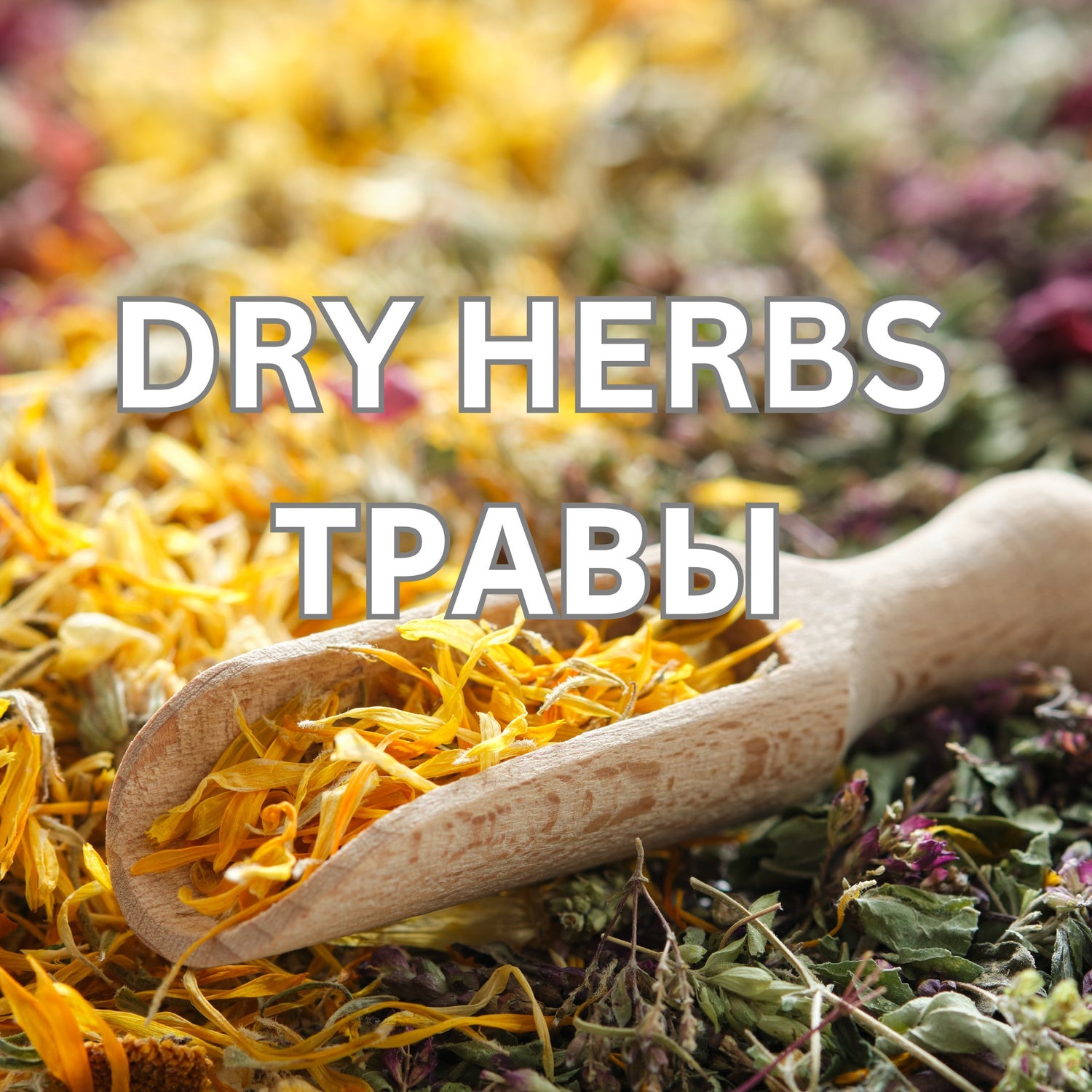 Травы / Herbs